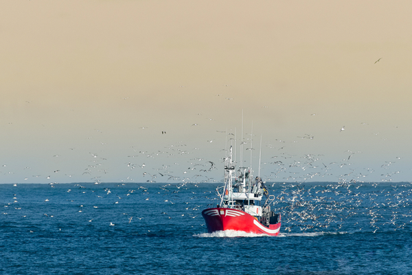 Vente de moteurs de pêche : chalutier ≠ bateau de plaisance