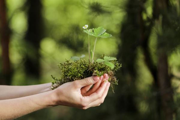 Environnement : une mise au vert nécessaire !