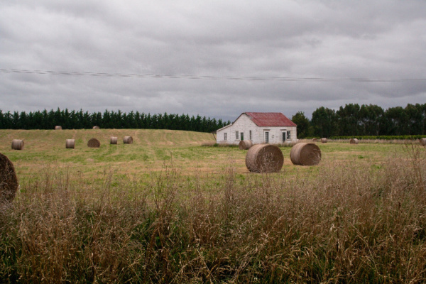 Bail rural : une résiliation toujours possible ?