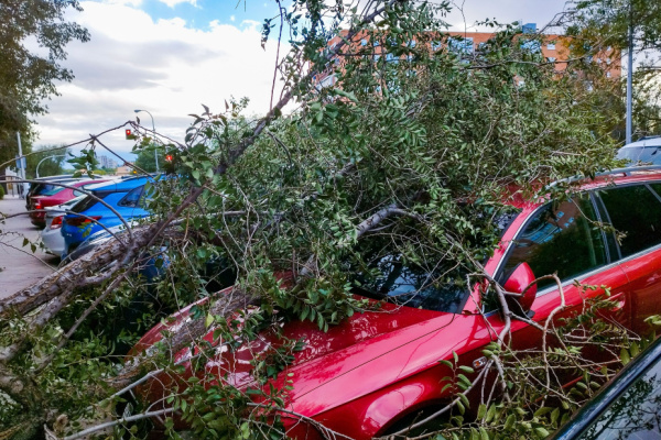 Tempête Ciaran : l’État vole au secours des entrepreneurs