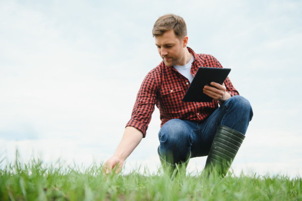 Aide complémentaire au revenu pour les jeunes agriculteurs : quel montant pour 2023 ?