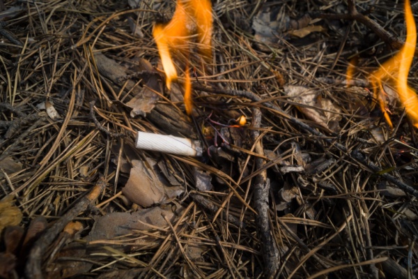 Prévention des incendies de forêts : la responsabilité élargie des producteurs (REP) du tabac est mise au travail !